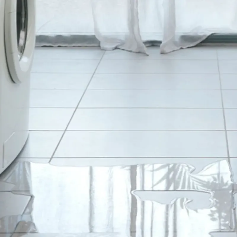 Appliance Leak Cleanup in Dryden, VA
