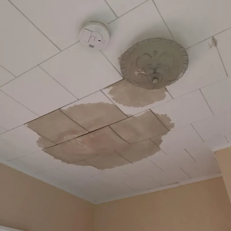 Ceiling Water Damage Repair in Dryden, VA