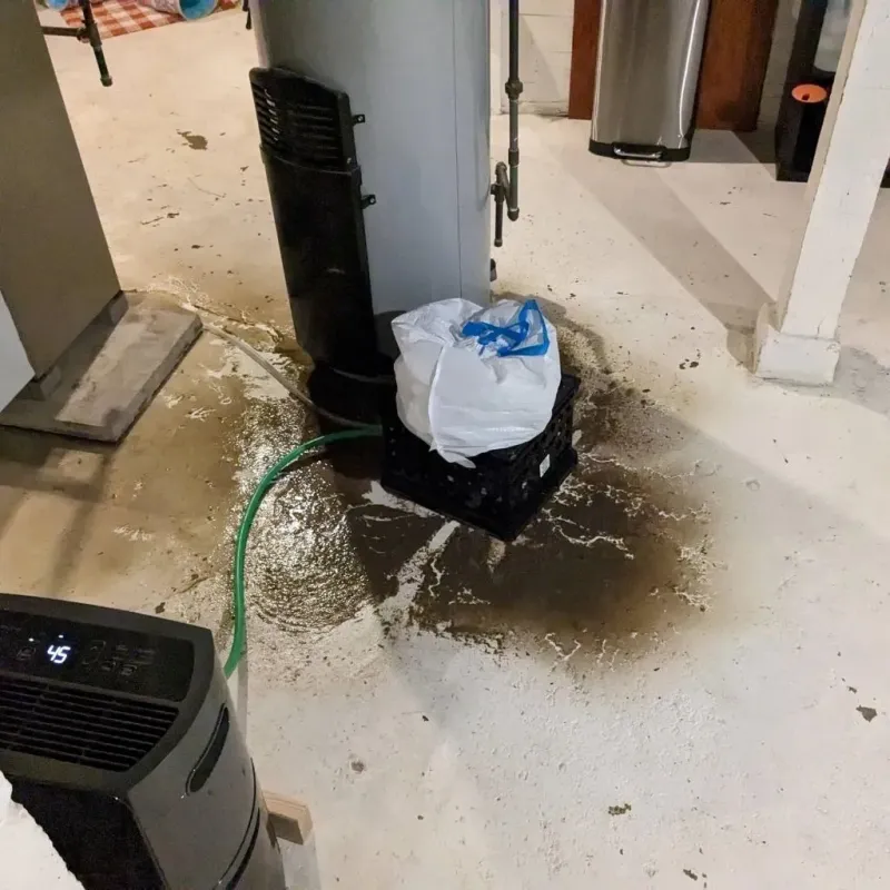Sewage Backup Cleanup Service in Dryden, VA